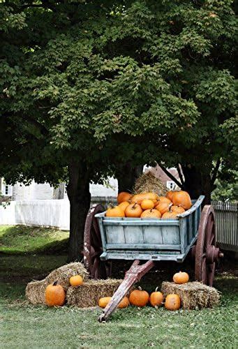 Amazon Yeele 4 X 6ft Autumn Harvest Backdrops Pumpkin Carriage Hay