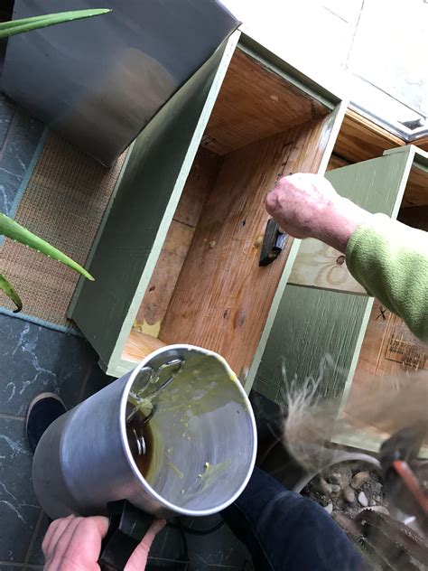 How to Trap Bee Swarms Keeping Backyard Bees