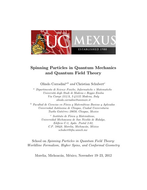 PDF Spinning Particles In Quantum Mechanics And Quantum Field Theory