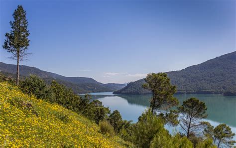 La Abrumadora Belleza Del Parque Natural De Las Sierras De Cazorla