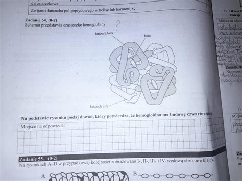 Mam takie zadanie z biologii do rozwiązania Tylko klucz odpowiedzi