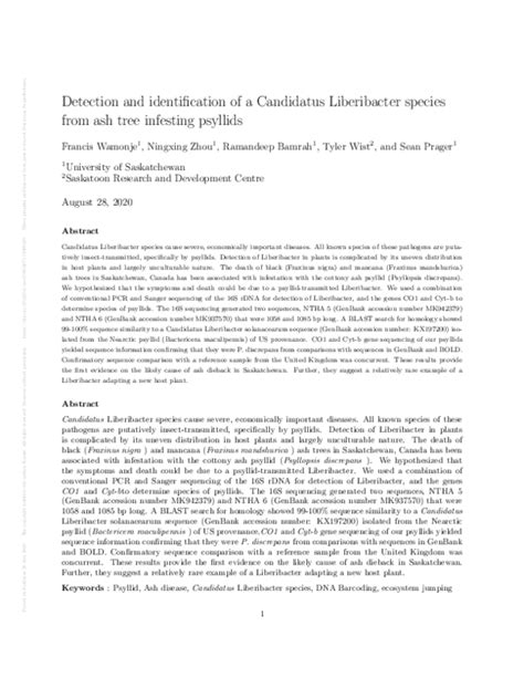 (PDF) Detection and identification of a Candidatus Liberibacter species from ash tree infesting ...