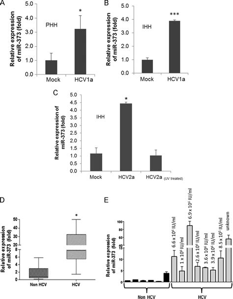 Hcv Infection Upregulates Mir 373 Expression A Primary Human Download Scientific Diagram