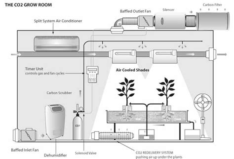 A Grow Room Setup Step By Step Guide Mygardenplant