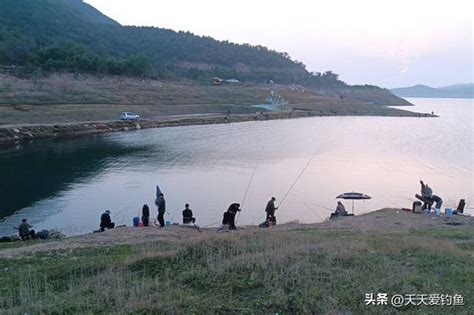 秋季野釣，從這3個方向選釣位，肯定能找到魚窩 每日頭條