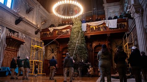 Biltmore House Christmas tree erected, opens holiday season