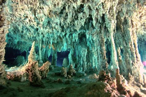 Cenote & Cave Diving - ProTec Dive Center Tulum, Mexico