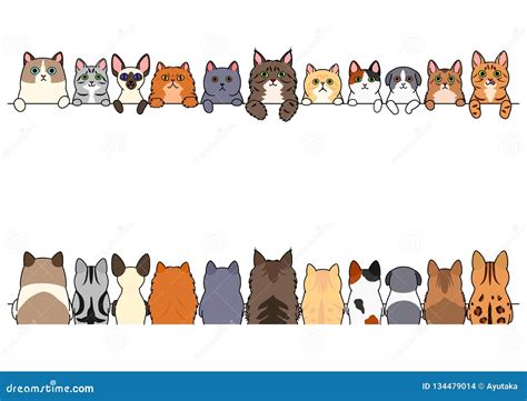 Various Cute Cats Border Set Stock Vector Illustration Of Design