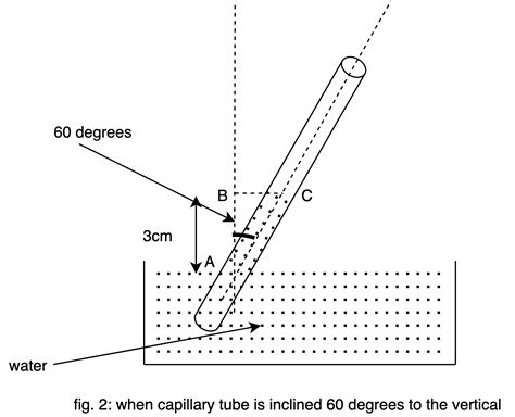 When A Capillary Tube Is Immersed Vertically In Water Class 11 Physics