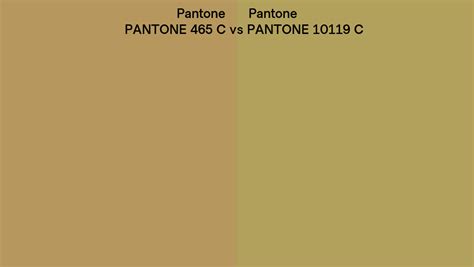 Pantone 465 C Vs Pantone 10119 C Side By Side Comparison