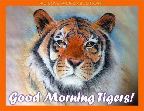 A Drawing Of A Tiger With The Words Good Morning Tigers On It S Face