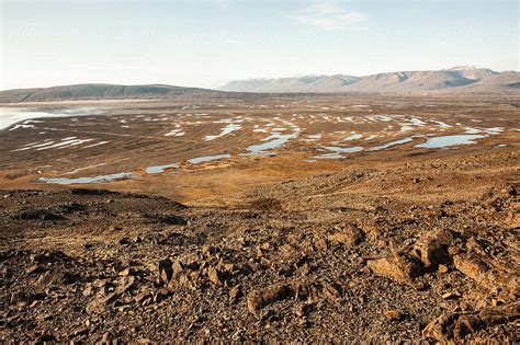 Bleak Landscape