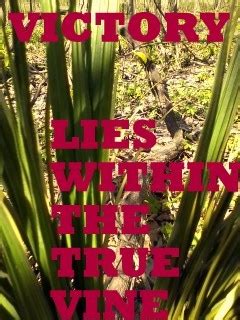 The Power of Victory in Jesus