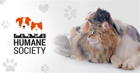 Homepage - Idaho Humane Society