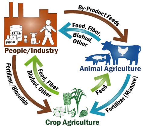 Nutrients Free Full Text The Complementary Roles For Plant Source