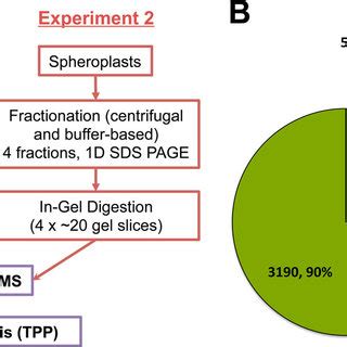 Hierarchical clustering of protein levels of S. pombe genes and their... | Download Scientific ...