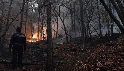 Incendi Massima Allerta Nei Boschi Del Piemonte