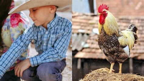 Farm Babe In Defense Of Factory Farming Industrial Big Ag AGDAILY