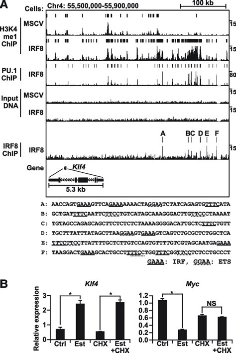 Irf And Pu Binding And The H K Me Enhancer Signature At The Klf