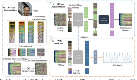 Figure From Rppg Mae Self Supervised Pre Training With Masked