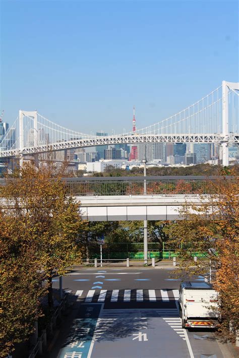 Another beautiful fall day in Tokyo. : japanpics