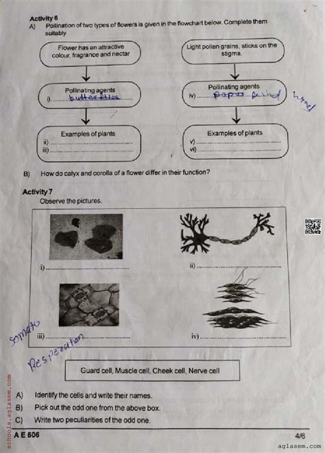 Class 6 Basic Science Onam Exam Question Paper 2024 Kerala Std 6