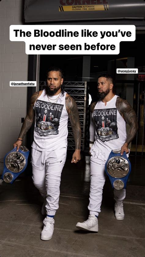 Daily Usos Slow On Twitter The Bloodline Like You Never Seen