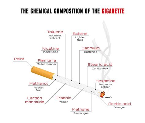 Infographics about the dangers of smoking. The composition of ...