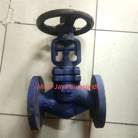 Jual Original Globe Valve Steam Cast Iron Pn16 34 Inchglobe Valve Flange Dn20 Diskon