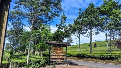 Curug Orok Garut Air Terjun Menawan Dengan Kisah Tragis