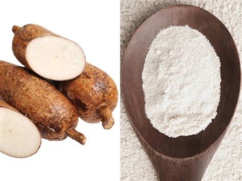 What Is Cassava Flour Faq