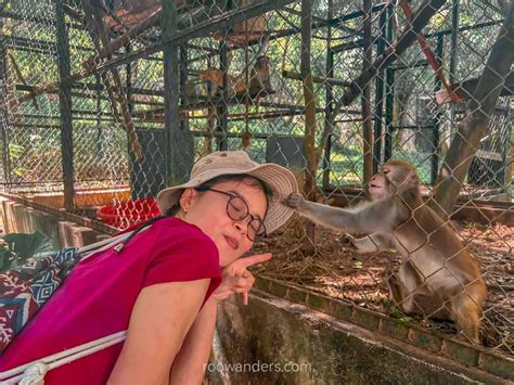 How To Spend A Great Day In Phong Nha National Park Roowanders