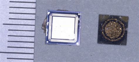 Schematic View Of The Proton Irradiation Setup At Cern Samples Were