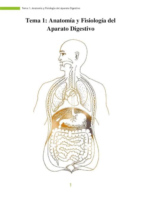 PDF Tema 1 Anatomía y Fisiología 4 Tema 1 Anatomía y Fisiología