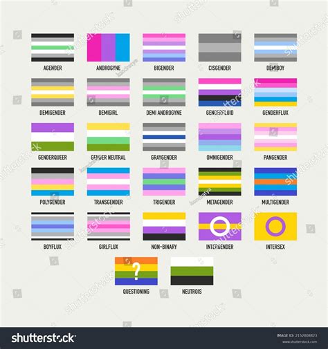 Collection Gender Identity Flags Pride Flags Stock Vector Royalty Free