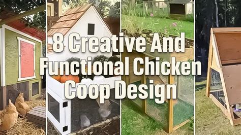 8 Creative and Functional Chicken Coop Designs - Forestry Reviews