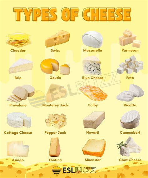 Types Of Cheese Amazing Cheese Types For Cheese Lovers Eslbuzz