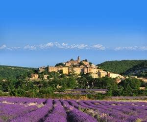 Provence Wine Regions