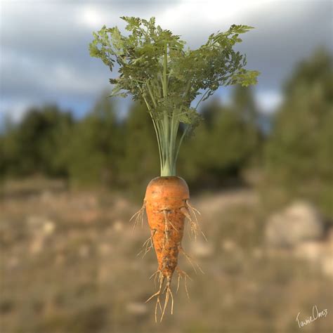 Artstation Carrot