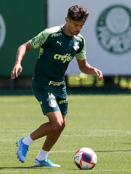 Scarpa Ressalta Gana Do Palmeiras