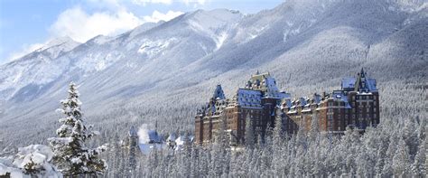 Discover Banff & Its Wildlife Winter Tour | Discover Banff Tours