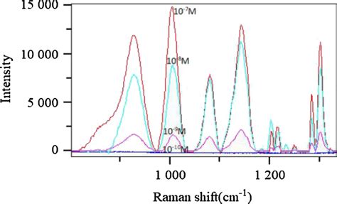 Sers Spectra Of Different Concentrations Of R6g Aqueous Solutions