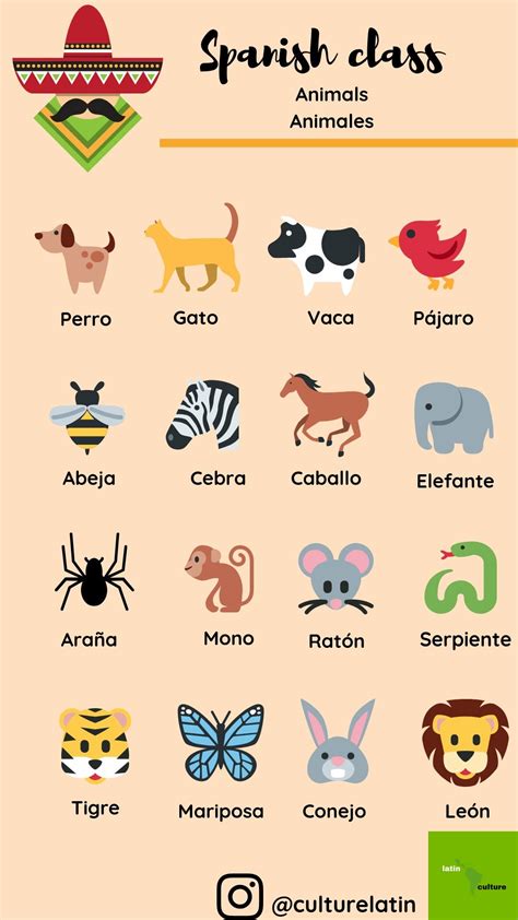 Spanish Words For Eye Nose Ear Mouth Tongue Teeth Artofit