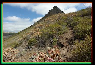 Tenerife Senderos Tenerife Senderos Vilaflor Roque Imoque