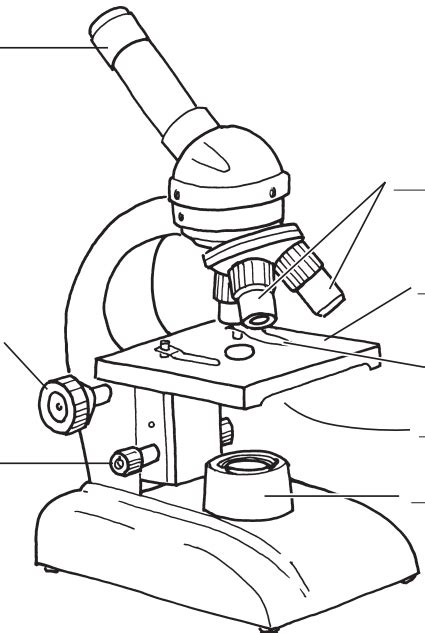 Microscope Parts Of A Microscope Diagram Quizlet