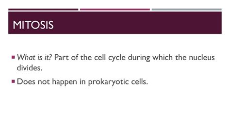 Focus Lesson Cell Cycle Organelles Ppt Download