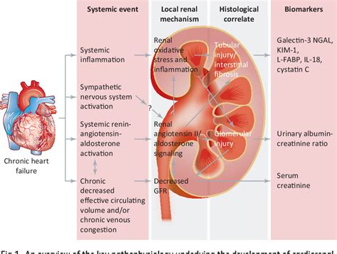 Figure From The Management Of End Stage Heart Failure And Reducing