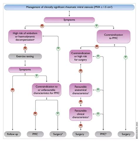 Esc Eacts Guidelines For The Management Of Valvular Heart Disease