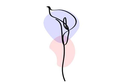 Continuous Line Art Of Anthurium Flowers Graphic By Subujayd · Creative