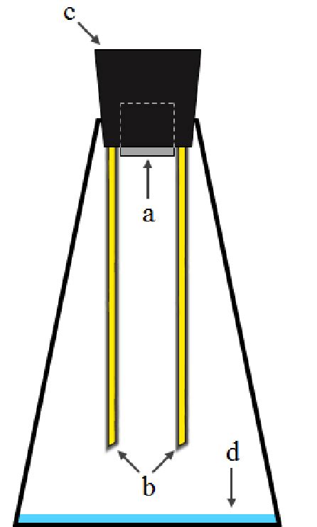 Experimental Arrangement Of The Jar Test Procedure A Ground Steel